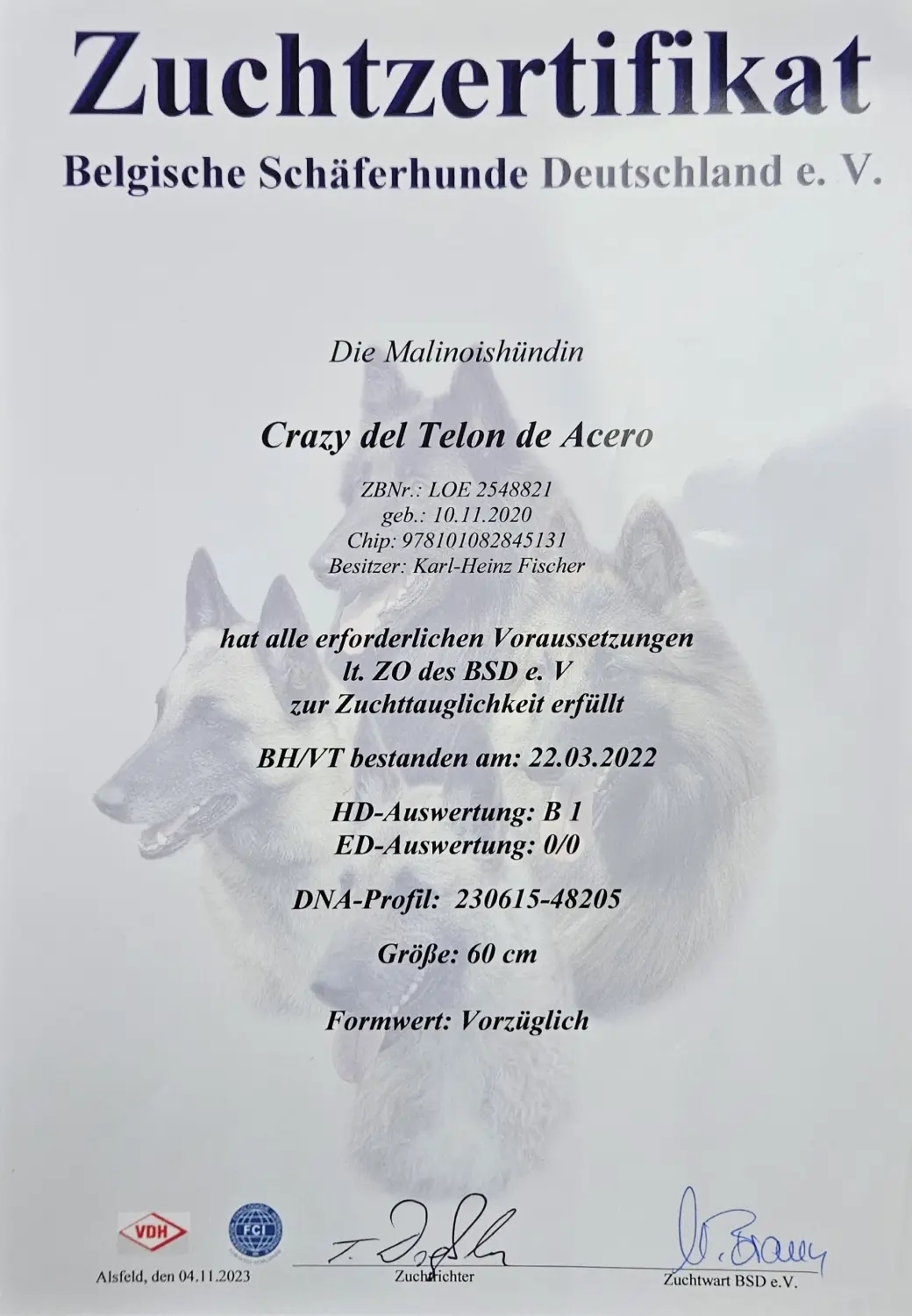 Malinois de la Frisone Liberte – Hundezucht – Zertifikat