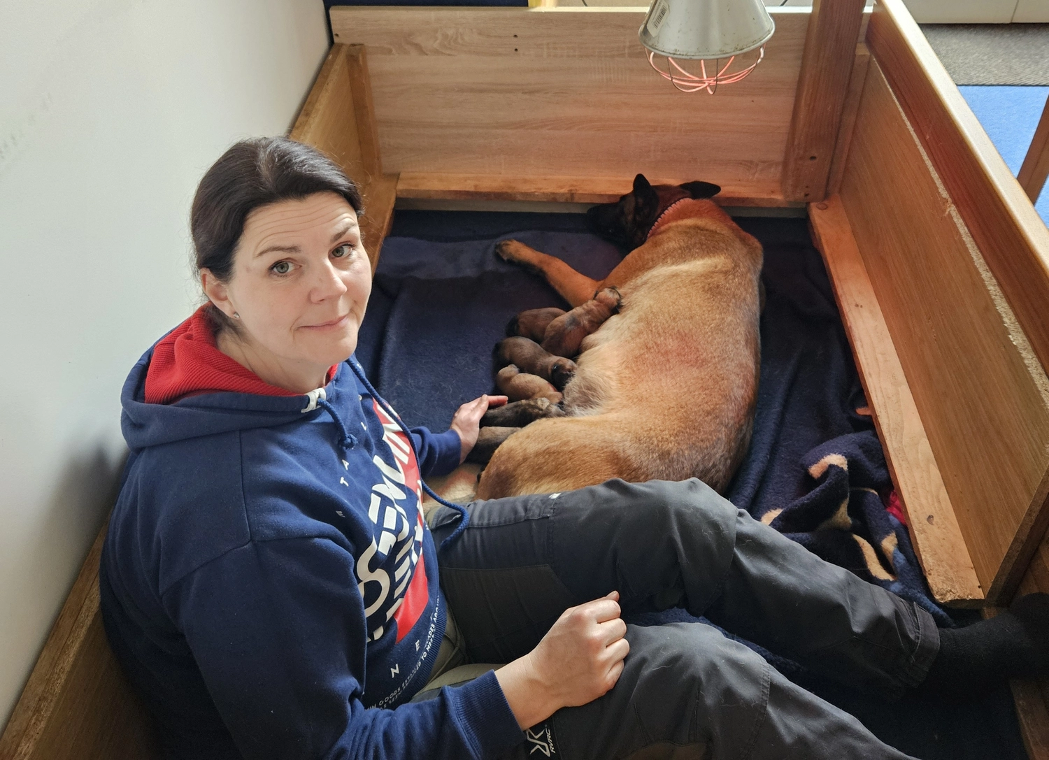 Malinois de la Frisone Liberte - Hundezucht - Welpen