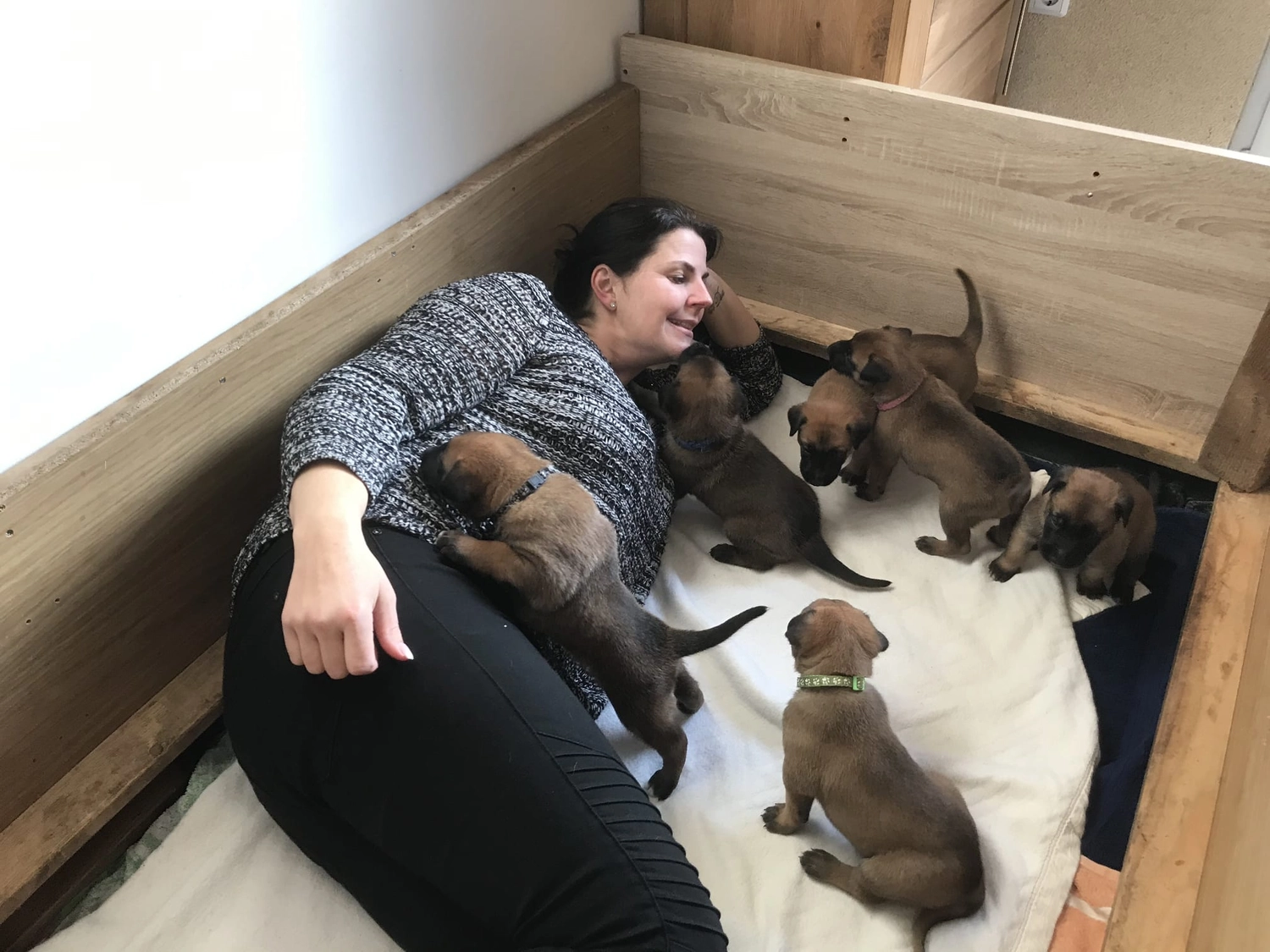 Malinois de la Frisone Liberte - Hundezucht - Welpen