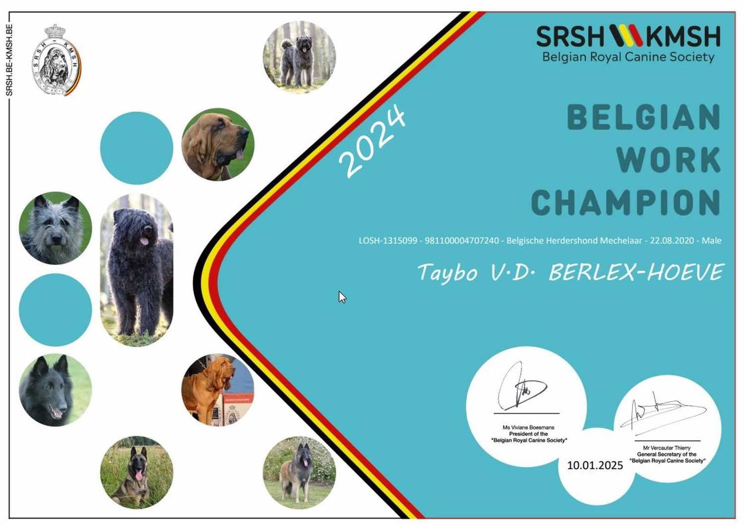 Malinois de la Frisone Liberte - Hundezucht - SRSH KMSH 