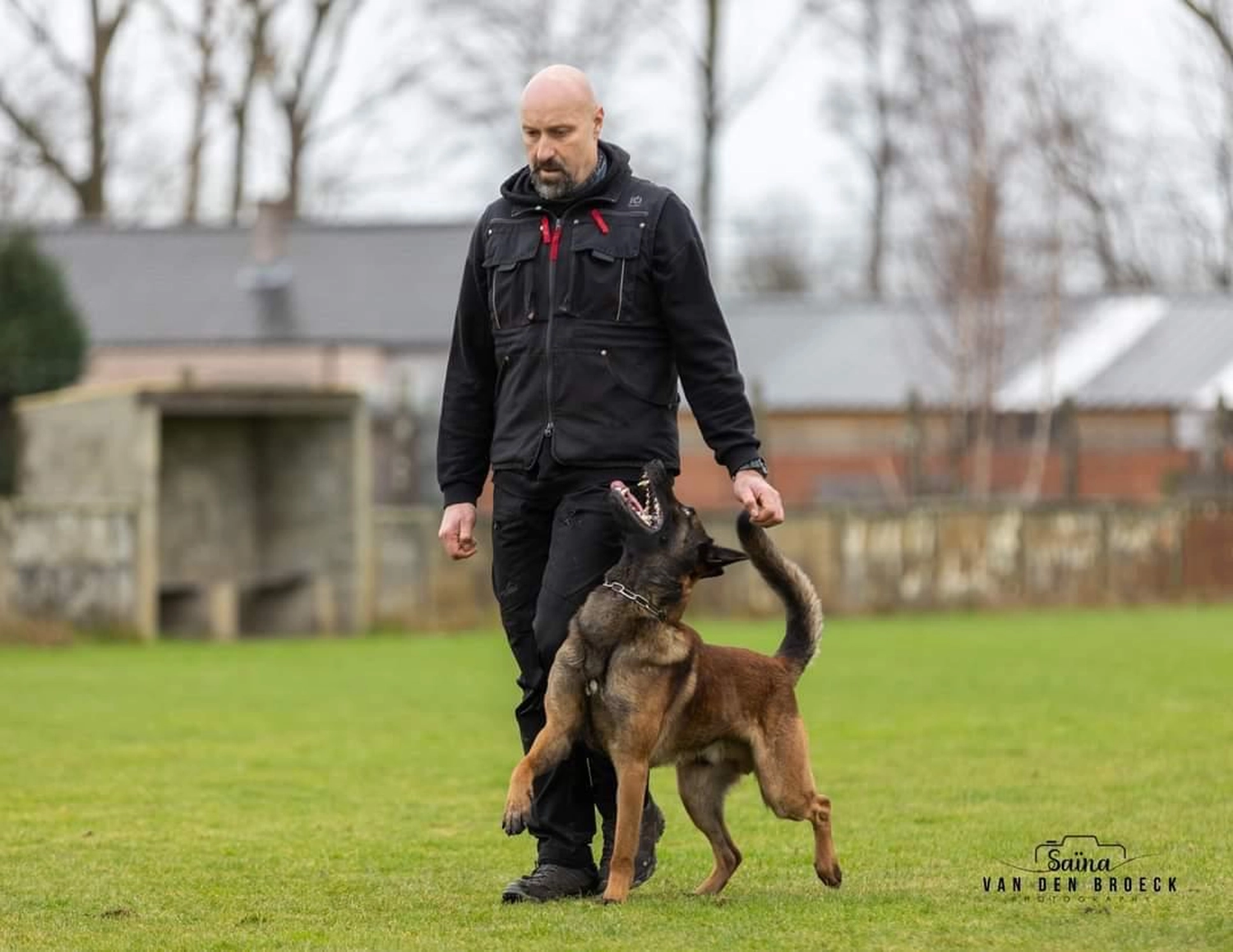 Malinois de la Frisone Liberte - Hundezucht - Hund mit Welpen
