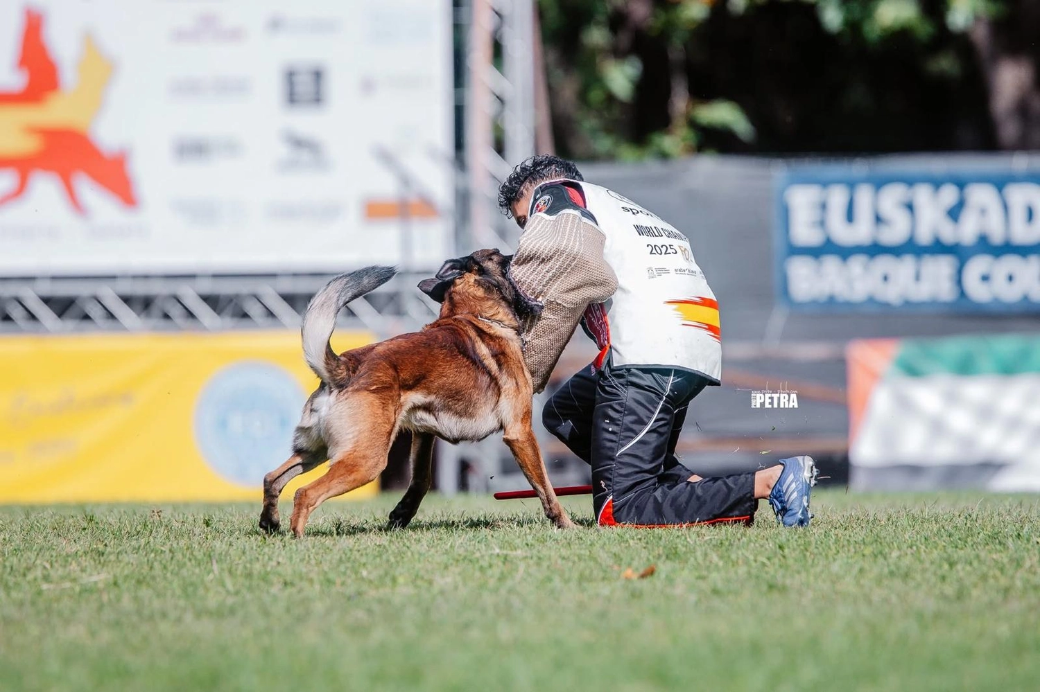 Malinois de la Frisone Liberte - Hundezucht - Hunde