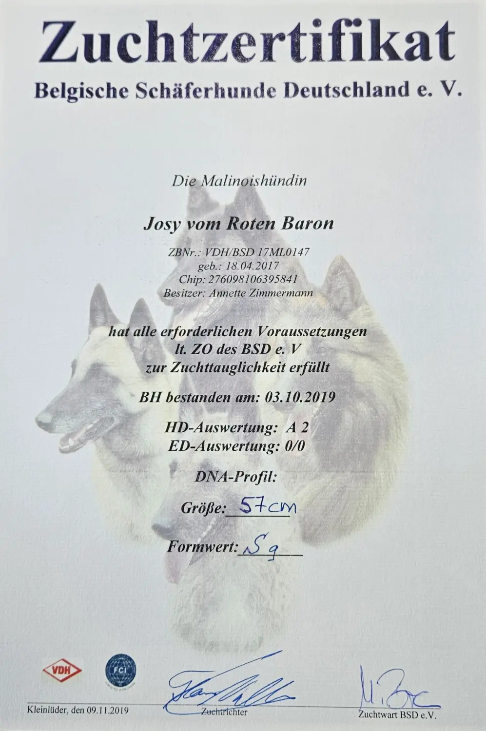 Malinois de la Frisone Liberte - Hundezucht - Zertifikat