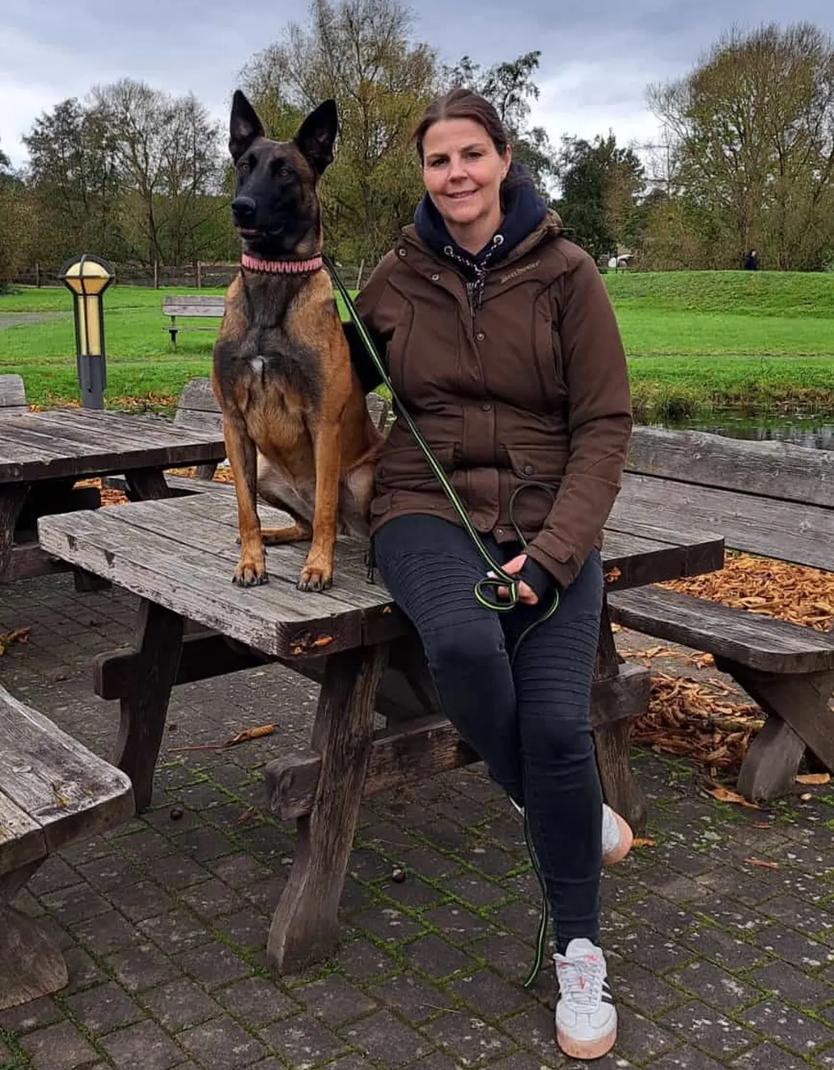 Malinois de la Frisone Liberte - Hundezucht - Hund spielt