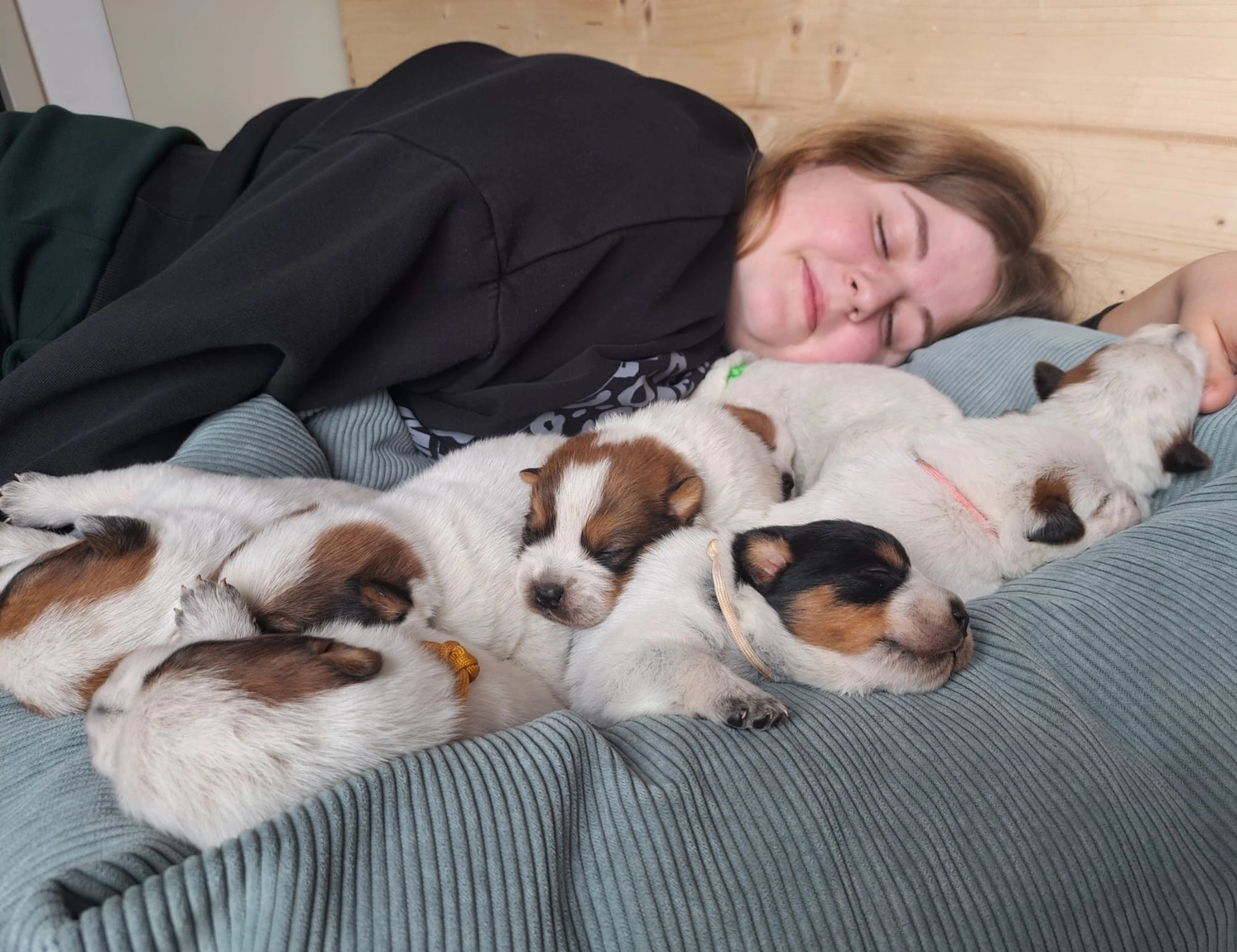 Malinois de la Frisone Liberte - Hundezucht - Welpen