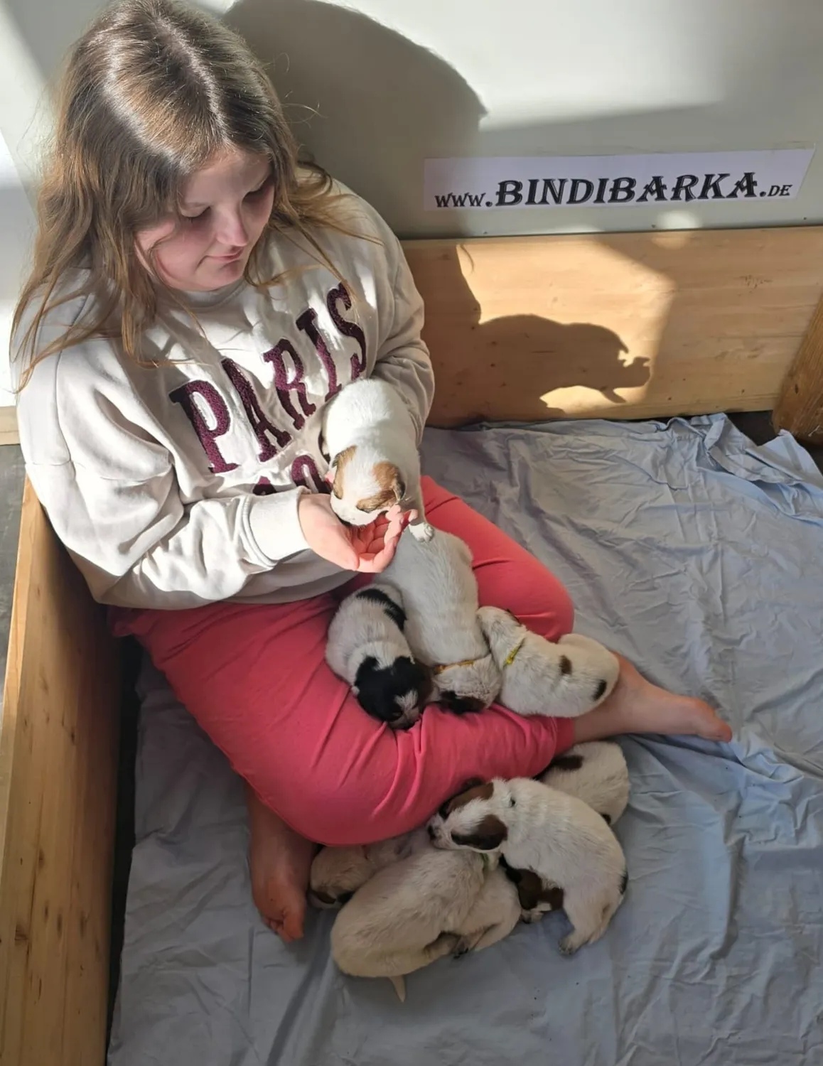 Malinois de la Frisone Liberte - Hundezucht - Welpen