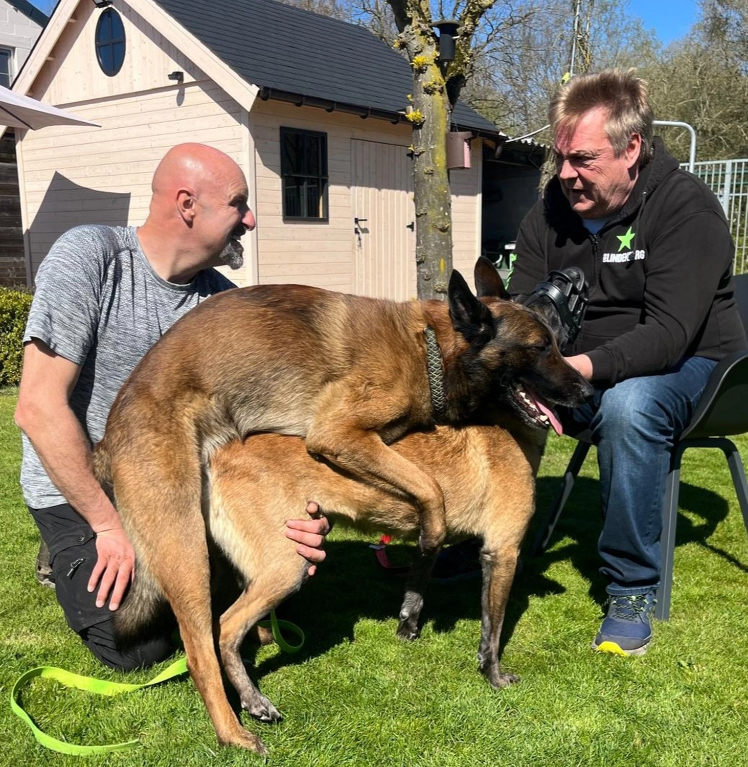 Malinois de la Frisone Liberte - Hundezucht - Hunde