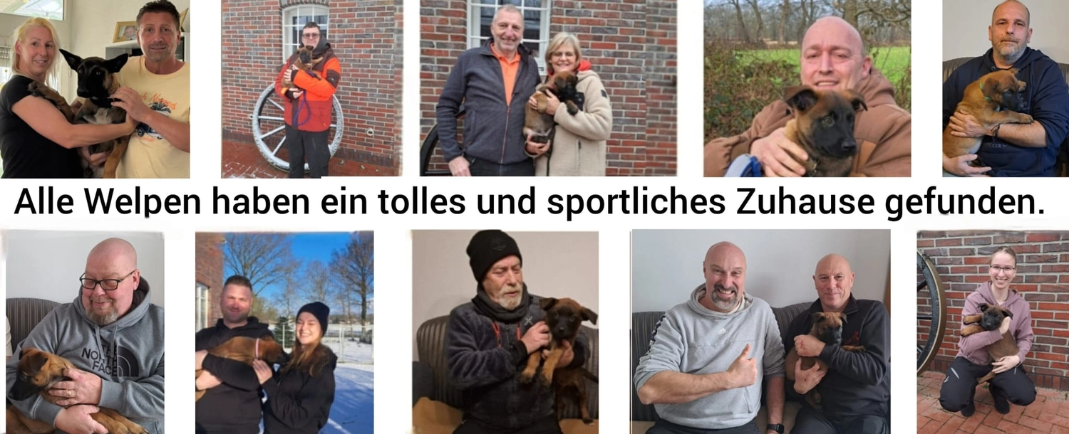 Malinois de la Frisone Liberte - Hundezucht - Hunde