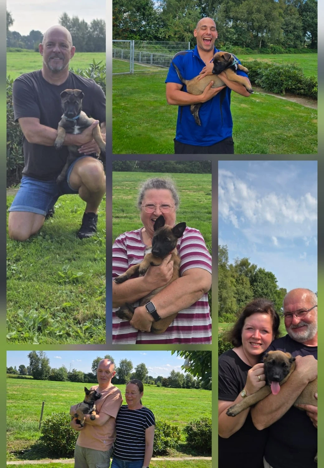 Malinois de la Frisone Liberte - Hundezucht - Ultraschallbericht eines Hundes